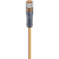 Lumberg Automation 11300-1 Sensor-/Aktor-Steckverbinder, konfektioniert M8 Buchse, gerade 2.00 m Pol