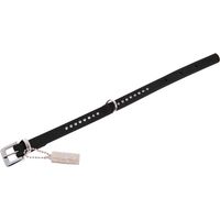 K bufalo collare diamanti una riga, 12 mm 32 cm regolabile nero 23-29 cm