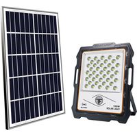 Projecteur Solaire Led 1000lm Autonomie & Puissance Solaire - Optex