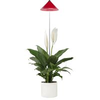 SUNLiTE 7W LED Pflanzenlampe Rot innen Pflanzenbeleuchtung ausziehbar