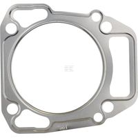 Zylinderkopfdichtung BRIGGS & STRATTON 712429