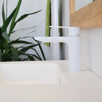 Mitigeur de lavabo blanc, Agora