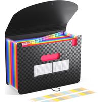 Organiseur de fichiers à 13 compartiments - Chemise extensible, boîte de classement portable, chemises accordéon de bureau, organiseur de documents et reçus en plastique coloré (format A4/Lettre)