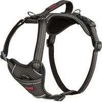 Imbracatura per Cani Company of Animals Grigio M 35-55 cm