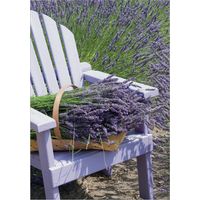 Art for the Home Outdoor Leinwandbild Garten Wanddeko - Lavendel - 70x50cm