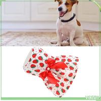 Robe pour chien - FAFEICY - Fraise Rouge M - Polyester - Style princesse - Printemps/Été