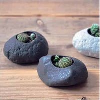 Kit Cactus pot en pierre