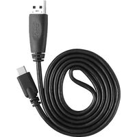 1 câble de chargeur de type C