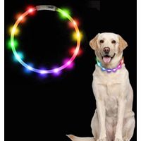 Galozzoit – Collar luminoso para perros – Recargable por USB – Longitud ajustable de 70 cm – Visibilidad de hasta 500 m – 2 modos de parpadeo multicolor