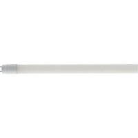 Neon Lineare Vetro A Led Naturale 4000K-2200 Lumen 22W=150W