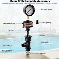 Pentair 98209800 Poolfilter-Entlüftungsventil mit Druckanzeige