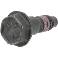Schraube BRIGGS & STRATTON 798294