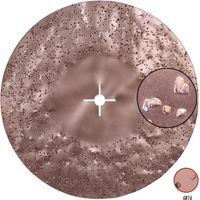 Disque abrasif biface au carbure de silicium grain16 SUPERTITINA RAIMONDI