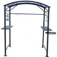 Tettoia per Barbecue Carport BBQ in Acciaio 167x128x202 con Accessori