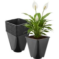 Garronda Pflanztopf Kunststoff 18 x 18 x 20 cm (5L) 10er Set eckig abgerundet mit Drainagelöchern Blumentopf robust für Garten Gewächshaus Balkon Innen Außenbereich Schwarz GD-0200