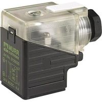 MURRELEKTRONIK STAY CONNECTED MURR ELEKTRONIK VENTILSTECKER SCHWARZ, TRANSPARENT SVS POLE:3 7000-29001-0000000 INHALT: 1ST