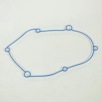Dichtung Getriebegehäuse polini für Roller malaguti 50 f12