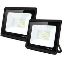 Bleosan – Lot de 2 projecteurs LED blanc froid 30W – Étanchéité IP66 – Flux lumineux 120LM/W – Tension 220-240V – Angle de faisceau 120°