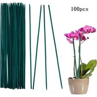 Tuteur Plante Bâtons de Support de Plantes - Lot de100 30cm Piquets de Plantes Résistants aux Intempéries Tuteur Tomate de Jardin pour Plantes Pois Légumes Support