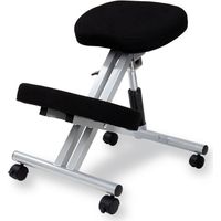 Silla ergonómica Ergochair negro aluminio Negro - Aluminio 42cm (ancho) x 60cm (alto)