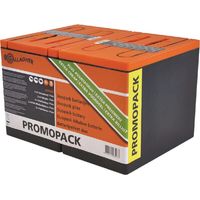 2 bater铆as'9 V 175 Ah Promopack GALLAGHER 065073GAL