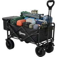 Carro Plegable con Bolsa TĂ©rmica Desmontable Longitud y Ăngulo del Mango Ajustables y Bolsa de Transporte Negro