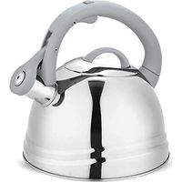 Hervidor MR-1304 de 2,5 l