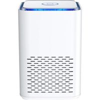 Air Purifier for Home, True HEPA Air Filter for Bedroom, Office, Odor Eliminator for Allergies and Pets, Smoke, Dust, Mold, Quiet Night Light