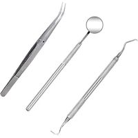 Kit d'hygiène dentaire professionnel 3 pièces : instrument de détartrage, gratte-tartre, cure-dents et miroir buccal (argenté)-3pcs-Silver