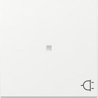 GIRA 329103 SYSTEM 55 INTERRUPTEUR À BASCULE AVEC FENÊTRE DE CONTRÔLE ET SYMBOLE DE PRISE BLANC PUR