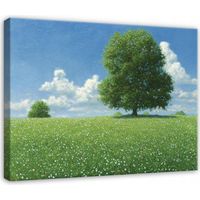 Leinwandbild Wiese und Bäume, Natur Landschaft für Schlafzimmer, Wohnzimmer und Küche, hochauflösender Druck, 120 x 80 cm