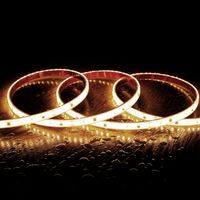 LED-Streifen Dimmbar 220V SMD Selbstgleichrichtend 120 LED/m 14W/m 1680lm/m SILICONE FLEX Breite 12mm Schnitt 10cm IP67 nach Maß 4000K Neutralweiß 2 m