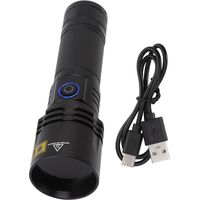 Lampe de poche UV rechargeable 365nm, torche à lumière noire, lumière noire 20W, lampe ultraviolette, chargement USB, pour détection de taches sèches d'urine d'animaux NDT