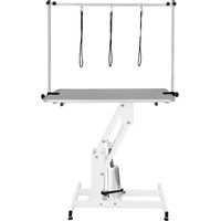Tavolo Professionale Idraulico per Toelettatura Cani - Altezza Regolabile 55-101 cm, Capacità 180 kg, Piano 106x61 cm in Gomma Rosa Antiscivolo, Struttura in Acciaio Bianco, 4 Piedini Livellanti, 3 Gu