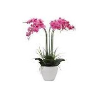 C ORCHIDEA C/VASO BIANCO 60 CM