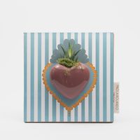 Bomboniera pianta grassa vera in vaso cuore ceramica Cuoricino Strisce - Turchese
