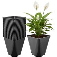 Garronda Pflanztopf Kunststoff 18 x 18 x 20 cm (5L) 20er Set eckig abgerundet mit Drainagelöchern Blumentopf robust für Garten Gewächshaus Balkon Innen Außenbereich Schwarz GD-0200