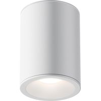 Maytoni Technical Zoom Maytoni C029CL-01W Deckenleuchte