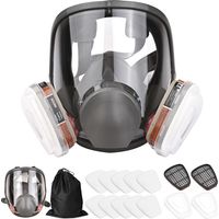 16-in-1-Vollmaske aus Silikon. 1 Maskenkörper + 2 x Filterkartuschen 3 + 2 x Filterkappen + 10 Filterpads + 1 Aufbewahrungstasche
