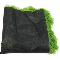 Mousse Artificielle Réaliste en Mousse Verte Légère pour Décoration Intérieure et Extérieure Finition Soignée Epe Fine et Solide