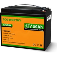 ECO-WORTHY 50Ah 12V Lithium Battery Emergency Power Backup Rechargeable LiFePO4 Lithium Iron Phosphate with 3000+ Deep Cycles and BMS Protection, Perfect forRV, Boat, Marine, Solar Panel System