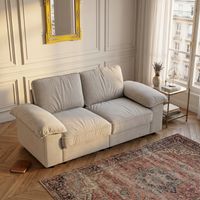 FX-P20EU-CW1 (SOFA 8813-1) Canapé contemporain avec espace de rangement sous l'assise – Design compact et confortable pour les appartements modernes