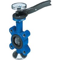 -GESA Absp.Klappe GGG Scheibe 1.4581 Mansch.EPDM PN16 DN100 m.Rasterh.Anfl.