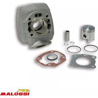 Zylinder Malossi für Moped Peugeot 50 103 z 1985 bis 2020 neu