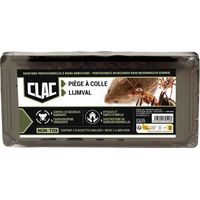 Trampa de pegamento anti-insectos rastreros, lote de 2 - Clac