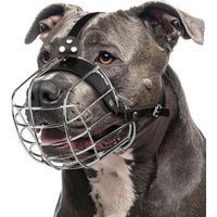 Metal Pitbull Muzzle for Large Sized Dog – Basket Muzzle for Dogs with Adjustable Leather Straps – Steel Cage Dog Muzzle to Prevent Biting – Mouth Guard for Large and Medium Pitt Bull