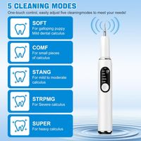 Nettoyeur de Tartre, Detartreur Dentaire Ultrasone, 5 Modes de Nettoyage avec LED, Détartreur Dentaire Électronique Sans Douleur pour Éliminer la