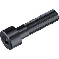 Reidl DIN 912 Zylinderschraube, Innensechskant M 5 x 150 8.8 blank
