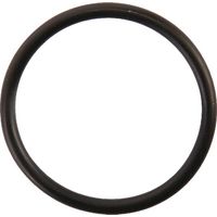 O-Ring CARRARO CI028171