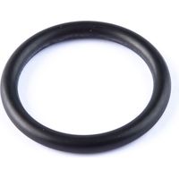 o-ring artic largo an-2 (100 unità)